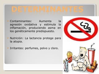  Contaminantes: Aumenta la
agresión oxidativa y estimula la
inflamación, produciendo asma en
los genéticamente predispuesto.
 Nutrición: La lactancia protege para
la atopia.
 Irritantes: perfumes, polvo y cloro.
 