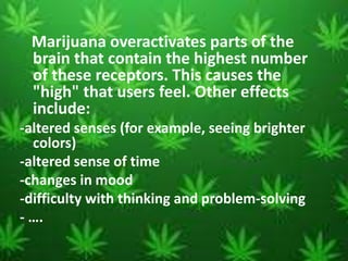 Marijuana overactivates parts of the
brain that contain the highest number
of these receptors. This causes the
"high" that users feel. Other effects
include:
-altered senses (for example, seeing brighter
colors)
-altered sense of time
-changes in mood
-difficulty with thinking and problem-solving
- ….
 