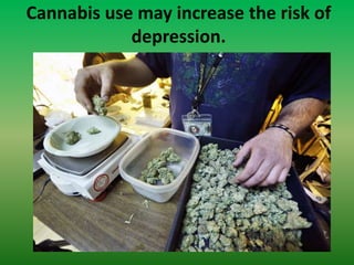 Cannabis use may increase the risk of
depression.
 