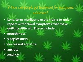 V-How can people get treatment for marijuana
addiction?
• Long-term marijuana users trying to quit
report withdrawal symptoms that make
quitting difficult. These include:
• grouchiness
• sleeplessness
• decreased appetite
• anxiety
• cravings
 