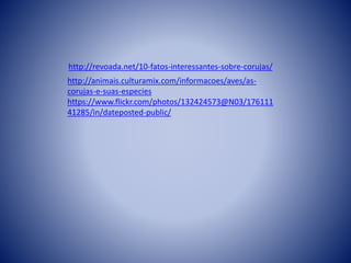 http://revoada.net/10-fatos-interessantes-sobre-corujas/
http://animais.culturamix.com/informacoes/aves/as-
corujas-e-suas-especies
https://www.flickr.com/photos/132424573@N03/176111
41285/in/dateposted-public/
 