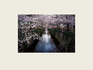 As mais belas ruas do mundo