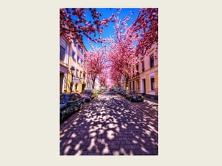 As mais belas ruas do mundo