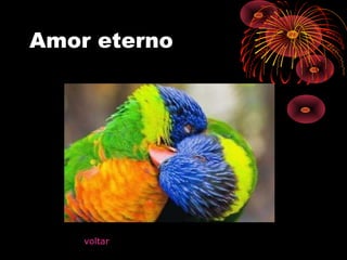 Amor eterno
voltar
 