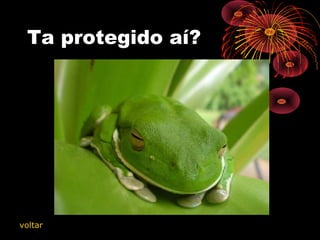 Ta protegido aí?
   
   
   
   
   
   
   
   
   
   
   
   
   
   
   
   
   
   
   
   
   
   
   
   
   
   
   
   
   
   
   
   
   
   
   
   
   
   
   
   
   
   
   
   
   
   
   
   
   
   
   
   
   
   
   
   
   
   
   
   
   
   
   
   
   
   
   
   
   
   
   
   
   
   
   
   
   
   
   
   
   
   
   
   
voltar
 