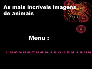 As mais incríveis imagens
de animais
Menu :
01 02 03 04 05 06 07 08 09 10 11 12 13 1514 16 17 18 19 20
 