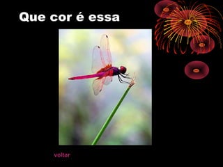 Que cor é essa
voltar
 