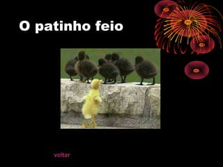O patinho feio
voltar
 