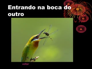 Entrando na boca do
outro
voltar
 