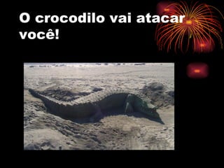 O crocodilo vai atacar você! 