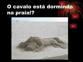O cavalo está dormindo na praia!? 