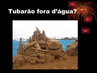 Tubarão fora d’água? 