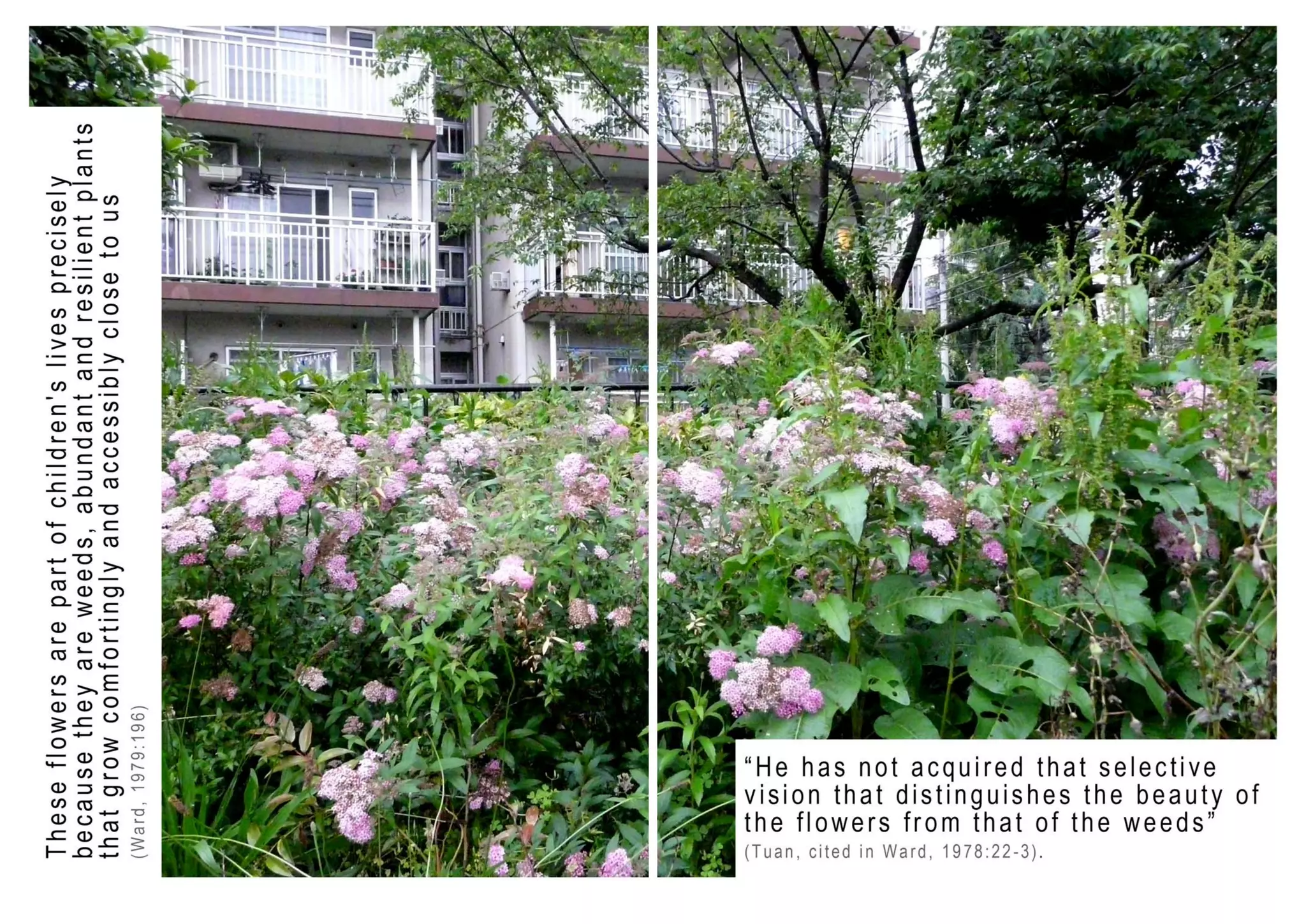 Tokyo at Child Scale