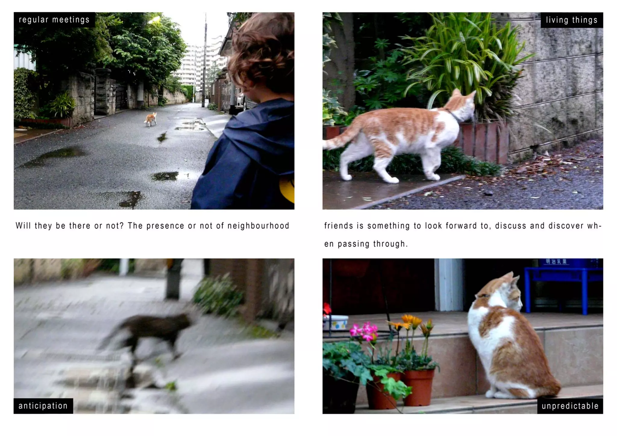 Tokyo at Child Scale