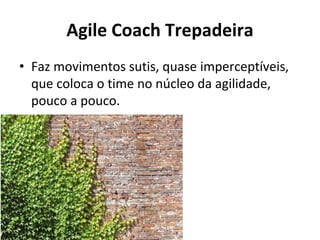 Agile Coach Trepadeira
• Faz movimentos sutis, quase imperceptíveis,
que coloca o time no núcleo da agilidade,
pouco a pouco.
 