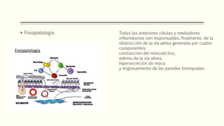  Fisiopatologia Todas las anteriores células y mediadores
inflamatorios son responsables, finalmente, de la
obstrucción de la vía aérea generada por cuatro
componentes:
contracción del músculo liso,
edema de la vía aérea,
hipersecreción de moco
y engrosamiento de las paredes bronquiales.
 