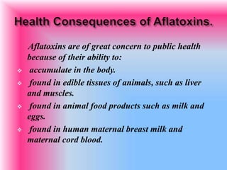 Aflatoxins are of great concern to public health
because of their ability to:
 accumulate in the body.
 found in edible tissues of animals, such as liver
and muscles.
 found in animal food products such as milk and
eggs.
 found in human maternal breast milk and
maternal cord blood.
 