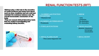 renal function test by Asma ppt | PPTX