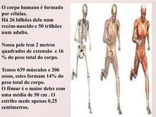 O corpo humano é formado
por células.
Há 26 bilhões dela num
recém-nascido e 50 trilhões
num adulto.

Nossa pele tem 2 metros
quadrados de extensão e 16
% do peso total do corpo.
Temos 639 músculos e 206
ossos, estes formam 14% do
peso total do corpo.
O fêmur é o maior deles com
uma média de 50 cm . O
estribo mede apenas 0,25
centímetros.

 