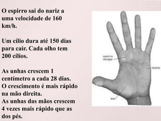 O espirro sai do nariz a
uma velocidade de 160
km/h.
Um cílio dura até 150 dias
para cair. Cada olho tem
200 cílios.
As unhas crescem 1
centímetro a cada 28 dias.
O crescimento é mais rápido
na mão direita.
As unhas das mãos crescem
4 vezes mais rápido que as
dos pés.

 