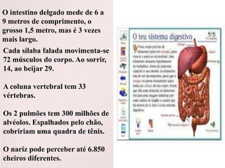 O intestino delgado mede de 6 a
9 metros de comprimento, o
grosso 1,5 metro, mas é 3 vezes
mais largo.
Cada sílaba falada movimenta-se
72 músculos do corpo. Ao sorrir,
14, ao beijar 29.

A coluna vertebral tem 33
vértebras.
Os 2 pulmões tem 300 milhões de
alvéolos. Espalhados pelo chão,
cobririam uma quadra de tênis.
O nariz pode perceber até 6.850
cheiros diferentes.

 