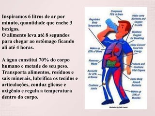 Inspiramos 6 litros de ar por
minuto, quantidade que enche 3
bexigas.
O alimento leva até 8 segundos
para chegar ao estômago ficando
ali até 4 horas.
A água constitui 70% do corpo
humano e metade do seu peso.
Transporta alimentos, resíduos e
sais minerais, lubrifica os tecidos e
articulações, conduz glicose e
oxigênio e regula a temperatura
dentro do corpo.

 