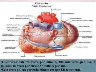 •O coração bate 70 vezes por minuto, 100 mil vezes por dia, 3
milhões de vezes por mês, e 37 milhões por ano.
•Seja grato a Deus por cada minuto em que Ele te sustenta!

 