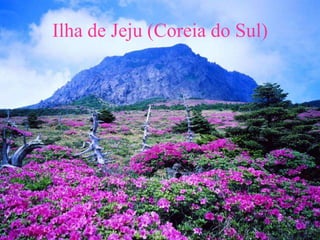 Ilha de Jeju (Coreia do Sul)
 