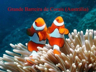 Grande Barreira de Corais (Austrália)
 