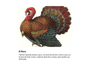 O Peru
“Senhor! Quando avistou o peru, no centro do terreiro, entre a casa e as
árvores da mata. O peru, imperial, dava-lhe as costas, para receber sua
admiração.
 