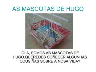 AS MASCOTAS DE HUGO ,[object Object]