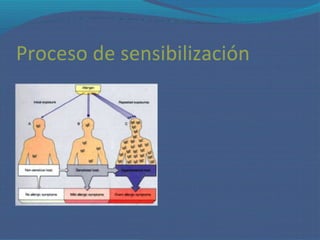Asma Y Alergia En El Embarazo2
