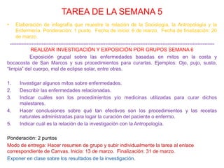 TAREA DE LA SEMANA 5
• Elaboración de infografía que muestre la relación de la Sociología, la Antropología y la
Enfermería. Ponderación: 1 punto. Fecha de inicio: 6 de marzo. Fecha de finalización: 20
de marzo.
--------------------------------------------------------------------------------------------------------------------------
REALIZAR INVESTIGACIÓN Y EXPOSICIÓN POR GRUPOS SEMANA 6
Exposición grupal sobre las enfermedades basadas en mitos en la costa y
bocacosta de San Marcos y sus procedimientos para curarlas. Ejemplos: Ojo, pujo, susto,
“limpia” del cuerpo, mal de eclipse solar, entre otras.
1. Investigar algunos mitos sobre enfermedades.
2. Describir las enfermedades relacionadas.
3. Indicar cuáles son los procedimientos y/o medicinas utilizadas para curar dichos
malestares.
4. Hacer conclusiones sobre qué tan efectivos son los procedimientos y las recetas
naturales administradas para logar la curación del paciente o enfermo.
5. Indicar cuál es la relación de la investigación con la Antropología.
Ponderación: 2 puntos
Modo de entrega: Hacer resumen de grupo y subir individualmente la tarea al enlace
correspondiente de Canvas. Inicio: 13 de marzo. Finalización: 31 de marzo.
Exponer en clase sobre los resultados de la investigación.
 