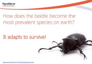 How does the beetle become the
most prevalent species on earth?
It adapts to survive!

Business Advisors to Growing Busine...