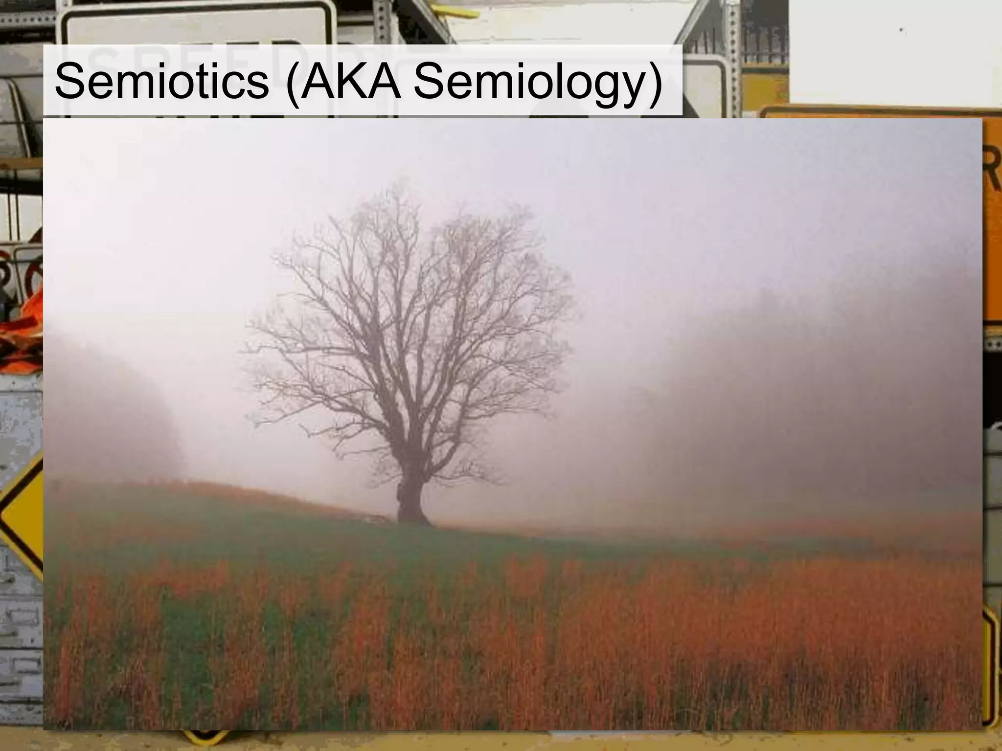 Semiotics (AKA Semiology)
“TREE”
“Arbre”
 