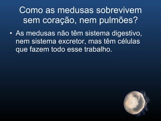 Como as medusas sobrevivem sem coração, nem pulmões? As medusas não têm sistema digestivo, nem sistema excretor, mas têm células que fazem todo esse trabalho. 