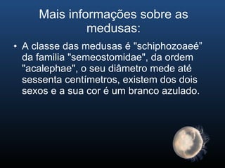 Mais informações sobre as medusas: A classe das medusas é "schiphozoaeé” da familia "semeostomidae", da ordem "acalephae", o seu diâmetro mede até sessenta centímetros, existem dos dois sexos e a sua cor é um branco azulado. 
