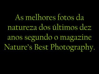 As melhores fotos da
 natureza dos últimos dez
 anos segundo o magazine
Nature’s Best Photography.
 