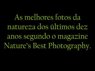 As melhores fotos da
natureza dos últimos dez
anos segundo o magazine
Nature’s Best Photography.
 