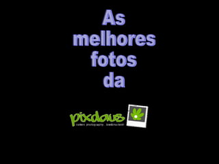 As melhores fotos da pixdaus i