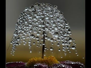 As melhores fotos da pixdaus i