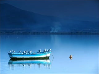 As melhores fotos da pixdaus i