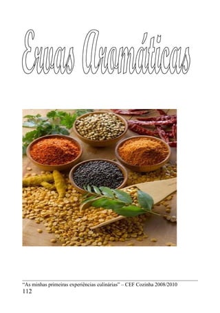 “As minhas primeiras experiências culinárias” – CEF Cozinha 2008/2010
112
 