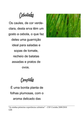 .
Os caules, de cor verde-
clara, desta erva têm um
gosto a cebola, o que faz
   deles uma guarnição
    ideal para saladas e
      sopas de tomate,
      recheio de batatas
    assadas e pratos de
                ovos.




  É uma bonita planta de
  folhas plumosas, com o
      aroma delicado das

“As minhas primeiras experiências culinárias” – CEF Cozinha 2008/2010
120
 