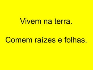 Vivem na terra.
Comem raízes e folhas.