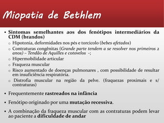 Miopatia de Bethlem 
 Sintomas semelhantes aos dos fenótipos intermediários da 
CDM (brandos) 
o Hipotonia, deformidades nos pés e torcicolo (bebes afetados) 
o Contraturas congênitas (Grande parte tendem a se resolver nos primeiros 2 
anos) – Tendão de Aquilles e cotovelos -; 
o Hipermobilidade articular 
o Fraqueza muscular 
o Risco aumentado de doenças pulmonares , com possibilidade de resultar 
em insuficiência respiratória. 
o Distrofia muscular na região da pelve. (fraquezas proximais e s/ 
contraturas) 
 Frequentemente rastreados na infância 
 Fenótipo originado por uma mutação recessiva. 
 A combinação da fraqueza muscular com as contraturas podem levar 
ao paciente a dificuldade de andar 
 