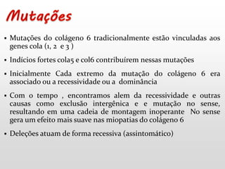  Mutações do colágeno 6 tradicionalmente estão vinculadas aos 
genes cola (1, 2 e 3 ) 
 Indícios fortes cola5 e col6 contribuírem nessas mutações 
 Inicialmente Cada extremo da mutação do colágeno 6 era 
associado ou a recessividade ou a dominância 
 Com o tempo , encontramos alem da recessividade e outras 
causas como exclusão intergênica e e mutação no sense, 
resultando em uma cadeia de montagem inoperante No sense 
gera um efeito mais suave nas miopatias do colágeno 6 
 Deleções atuam de forma recessiva (assintomático) 
 