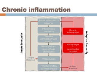 Autoimmunity - Basic Immunology | PPTX