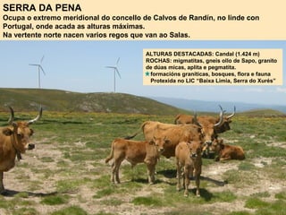 SERRA DA PENA
Ocupa o extremo meridional do concello de Calvos de Randín, no linde con
Portugal, onde acada as alturas máximas.
Na vertente norte nacen varios regos que van ao Salas.
ALTURAS DESTACADAS: Candal (1.424 m)
ROCHAS: migmatitas, gneis ollo de Sapo, granito
de dúas micas, aplita e pegmatita.
formacións graníticas, bosques, flora e fauna
Protexida no LIC “Baixa Limia, Serra do Xurés”
 
