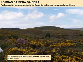 LOMBAS DA PENA DA EDRA
Prolongación cara ao nordeste da Serra do Laboreiro no concello de Verea.
ALTURAS DESTACADAS: Pena da Edra, con 1.025 m.
flora e fauna
 